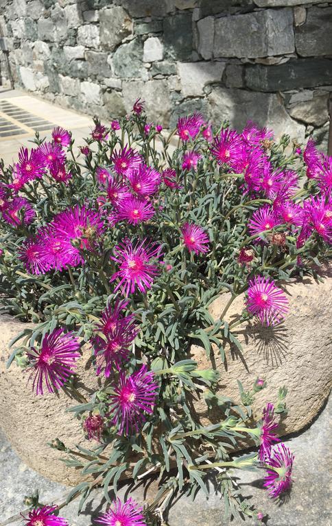 Appartamento Fleur Des Neiges Aosta Exterior foto